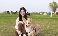 麻豆 国产之光32部